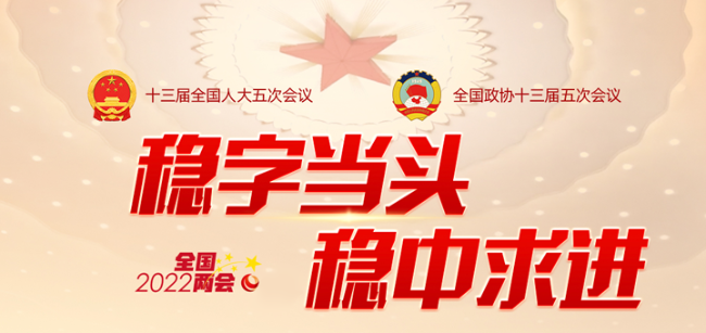 【聚焦全国两会】代表委员谈电力（一）